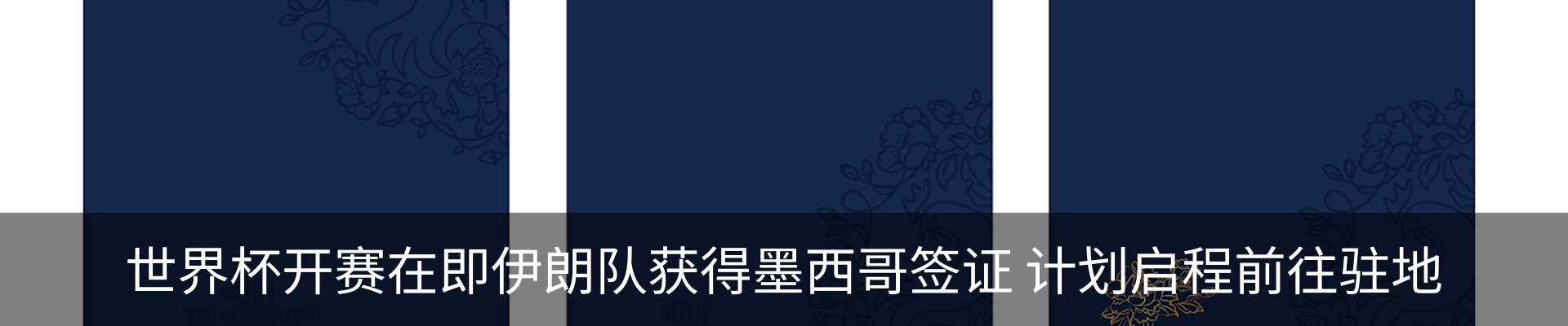 新闻动态