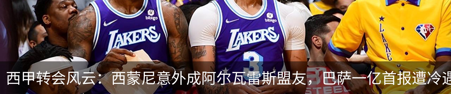 新闻动态